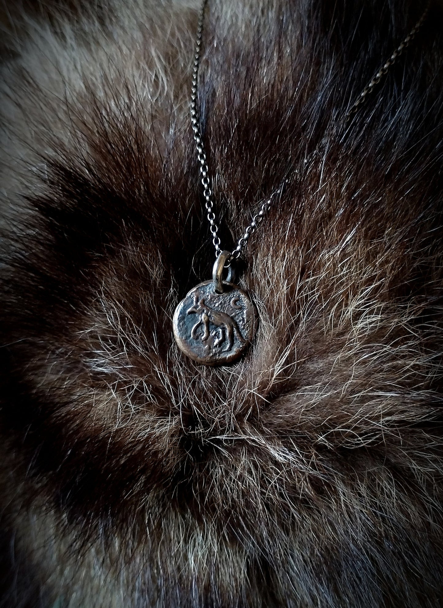 CANIS LUPUS Collier bronze