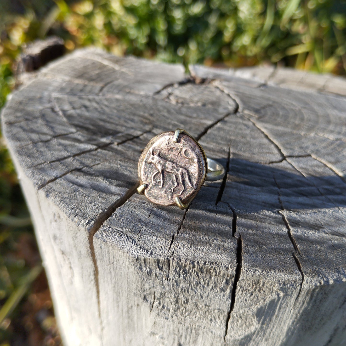 CANIS LUPUS Bague bronze